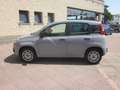 Fiat Panda 1.2 Easy GPL (ok anche neopatentati) Gris - thumbnail 9