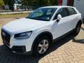 Audi Q2 1.4  KLIMA AHK Weiß - thumbnail 2