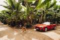 Fiat 124 Spider 1.4 MultiAir Turbo Lusso - thumbnail 4