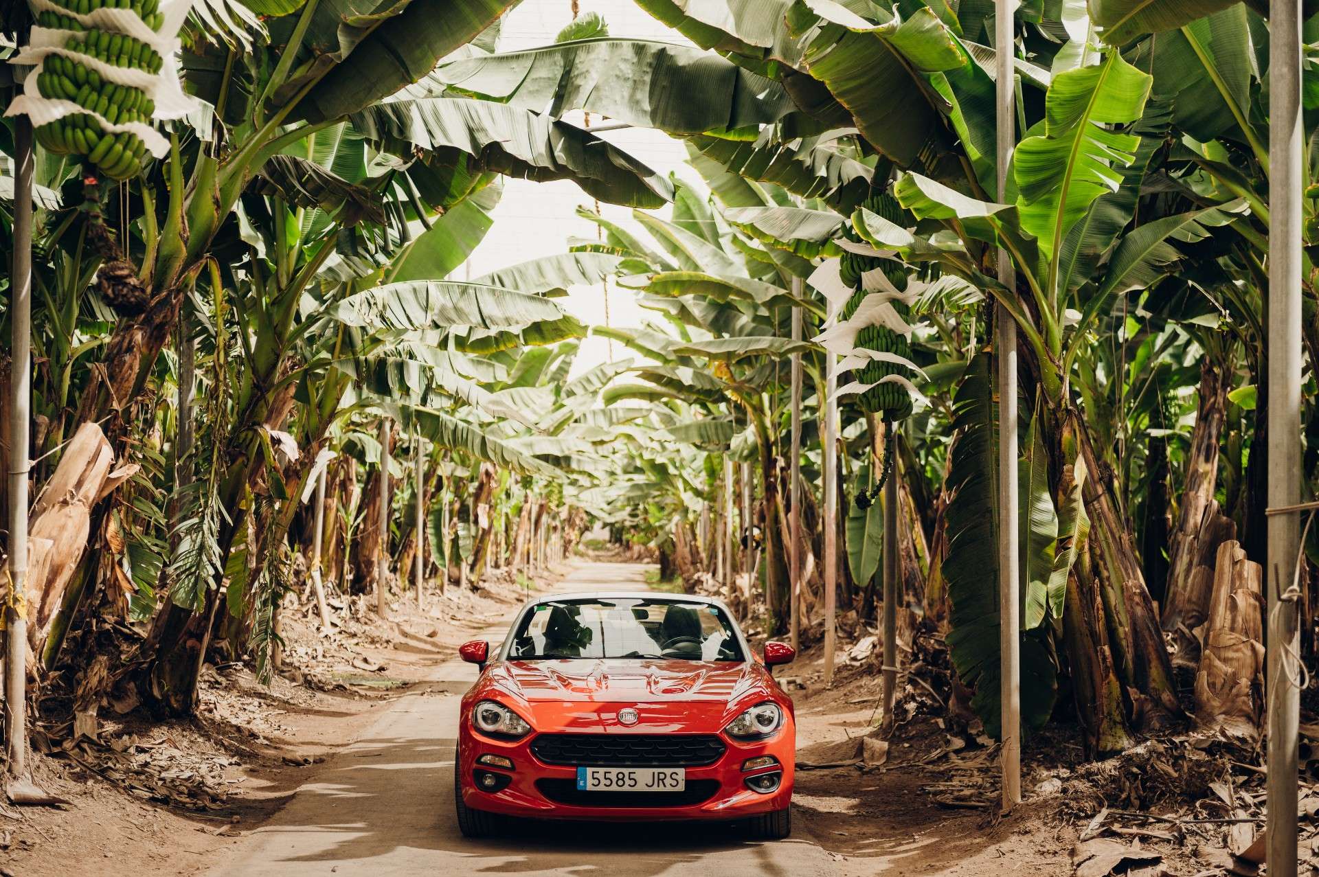 Fiat 124 Spider 1.4 MultiAir Turbo Lusso - foto 1