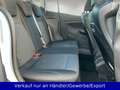 Ford B-Max B-MAX 1.4 Ambiente Weiß - thumbnail 12