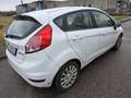 Ford Fiesta 5p 1.0 ecoboost Individual 100cv - thumbnail 4