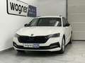 Skoda Octavia Combi 2,0 TDI Style DSG.Matrix LED/ACC/DCC/Navi... Weiß - thumbnail 1