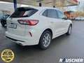 Ford Kuga 2.5 Duratec PHEV VIGNALE Weiß - thumbnail 5