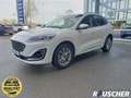 Ford Kuga 2.5 Duratec PHEV VIGNALE Weiß - thumbnail 1