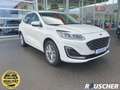 Ford Kuga 2.5 Duratec PHEV VIGNALE Weiß - thumbnail 3
