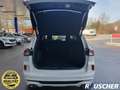 Ford Kuga 2.5 Duratec PHEV VIGNALE Weiß - thumbnail 7