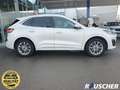 Ford Kuga 2.5 Duratec PHEV VIGNALE Weiß - thumbnail 4