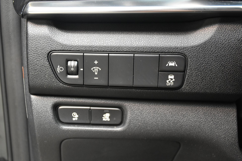 Kia e-Niro Elektrisch 204pk Aut DynamicLine — photo 15