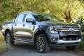 Ford Ranger Platinum V6 DoKa Standhzg ERollo AHK 3,5t Grau - thumbnail 6