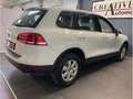 Volkswagen Touareg 3.0 V6 TDI 204 CV 4Motion BlueMotion - thumbnail 16
