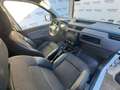 Renault Kangoo Blue dCi 95CV Express Furgone Ice Bianco - thumbnail 14
