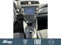 Nissan Leaf AC|SHZ|CarPlay|Kamera|Lederlenkrad|LED|1.Hd Schwarz - thumbnail 10