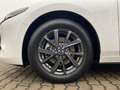 Mazda 3 EXCLUSIVE-LINE e-SKYACTIV G Exclusive-Line +BOSE+M Weiß - thumbnail 13