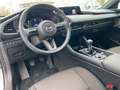 Mazda 3 EXCLUSIVE-LINE e-SKYACTIV G Exclusive-Line +BOSE+M Weiß - thumbnail 10