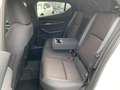 Mazda 3 EXCLUSIVE-LINE e-SKYACTIV G Exclusive-Line +BOSE+M Weiß - thumbnail 11