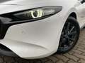 Mazda 3 EXCLUSIVE-LINE e-SKYACTIV G Exclusive-Line +BOSE+M Weiß - thumbnail 24