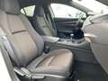 Mazda 3 EXCLUSIVE-LINE e-SKYACTIV G Exclusive-Line +BOSE+M Weiß - thumbnail 25