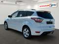 Ford Kuga 1.5 EB  ST-Line Weiß - thumbnail 6