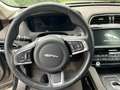 Jaguar F-Pace Portfolio AWD Grau - thumbnail 10