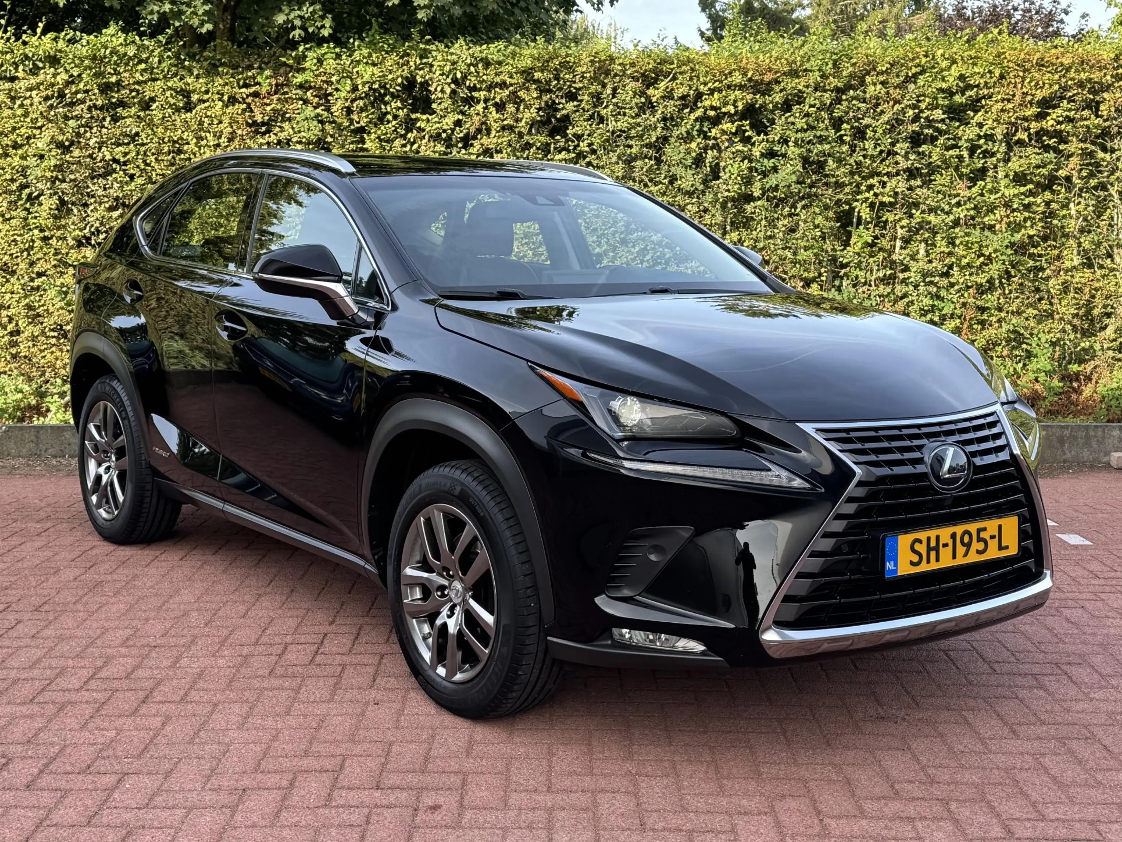 Lexus NX 300h AWD Business Line Dealer Onderhouden Trekhaak ACC — photo 13