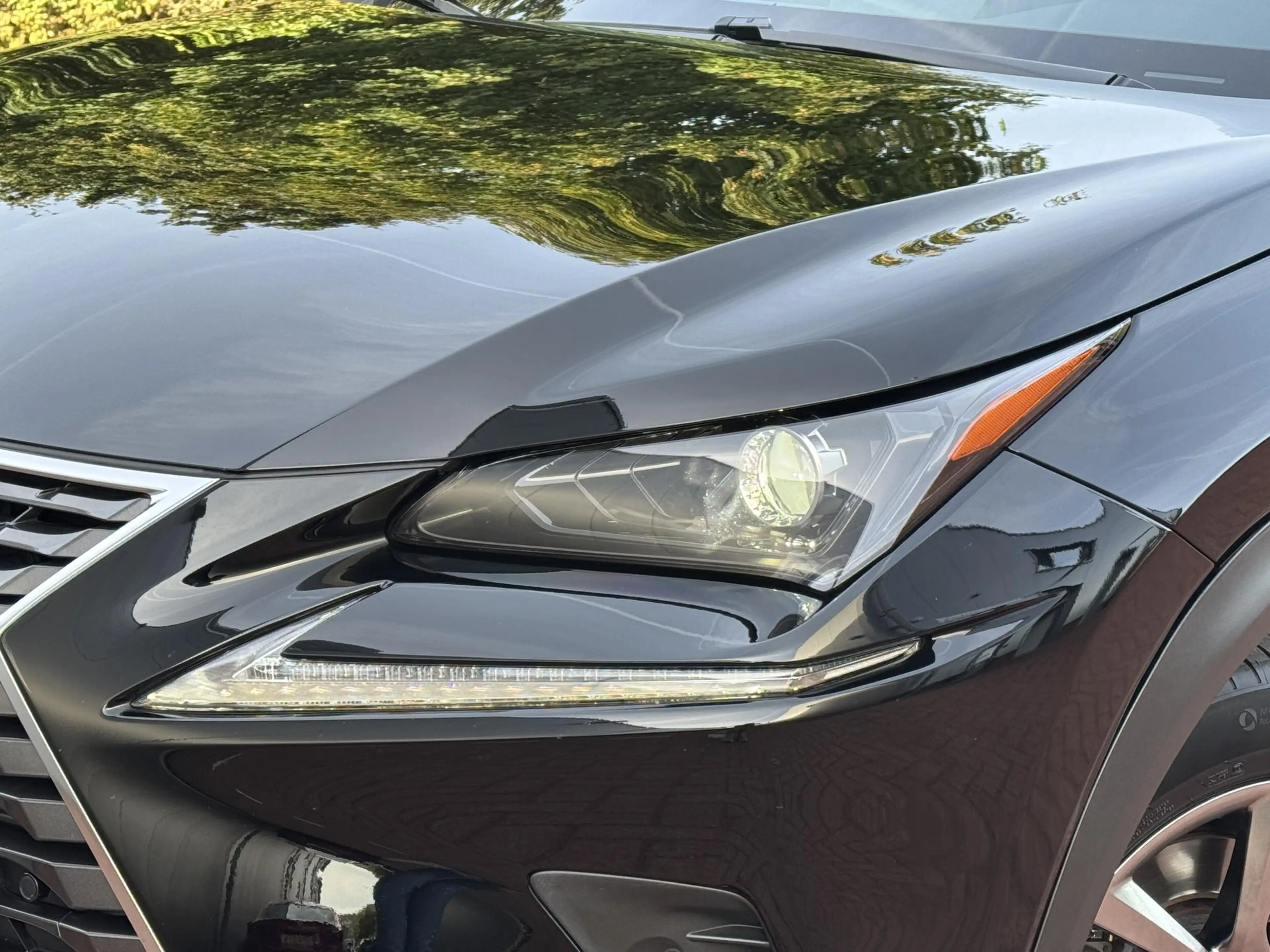 Lexus NX 300h AWD Business Line Dealer Onderhouden Trekhaak ACC — photo 7