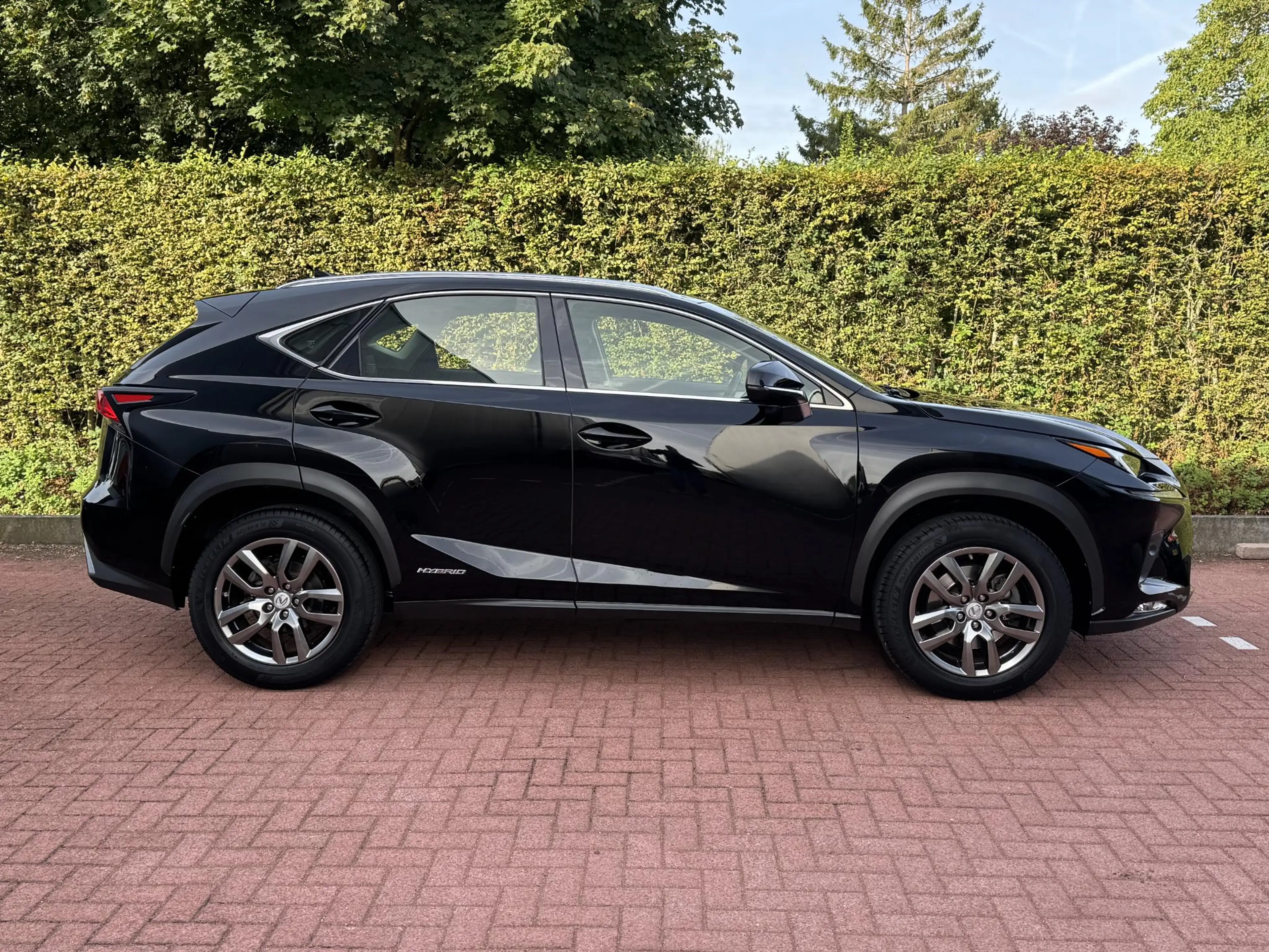 Lexus NX 300h AWD Business Line Dealer Onderhouden Trekhaak ACC — photo 14