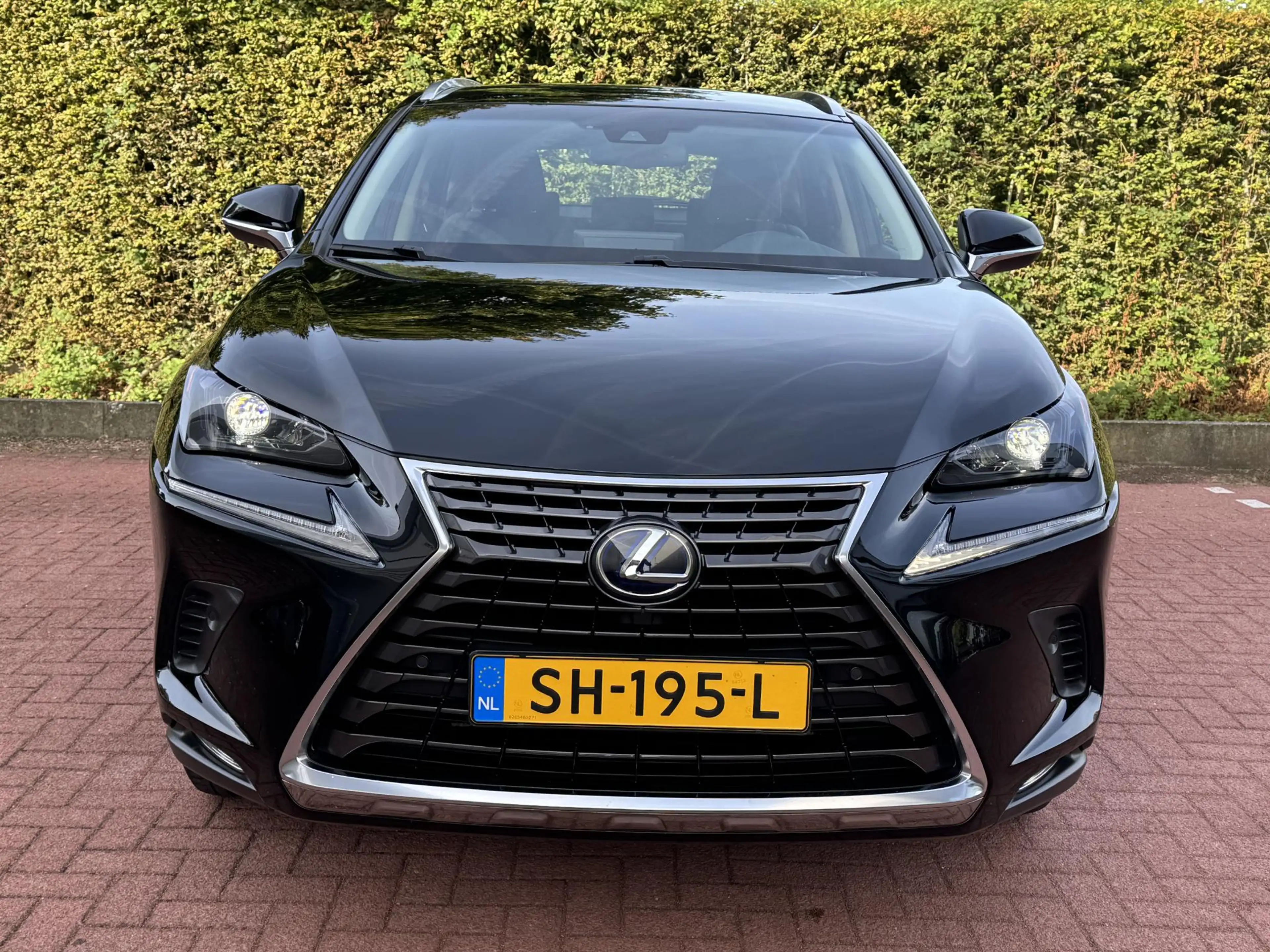 Lexus NX 300h AWD Business Line Dealer Onderhouden Trekhaak ACC — photo 15