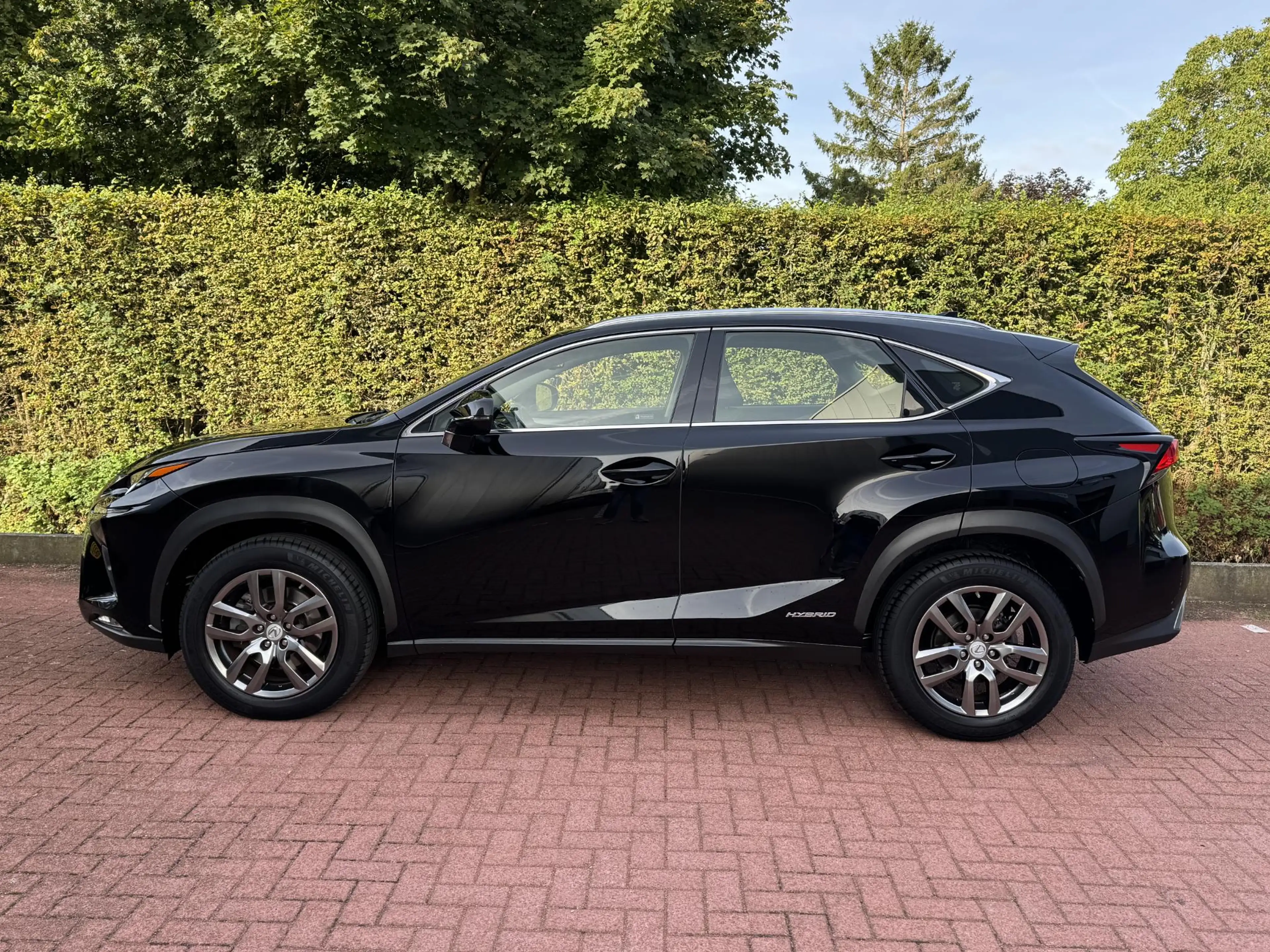 Lexus NX 300h AWD Business Line Dealer Onderhouden Trekhaak ACC — photo 9