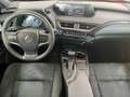 Lexus UX 250h Style Edition *Bi-LED*ACC*CAM*SHZ*CarPlay* Rot - thumbnail 12