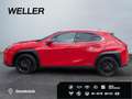 Lexus UX 250h Style Edition *Bi-LED*ACC*CAM*SHZ*CarPlay* Rot - thumbnail 5