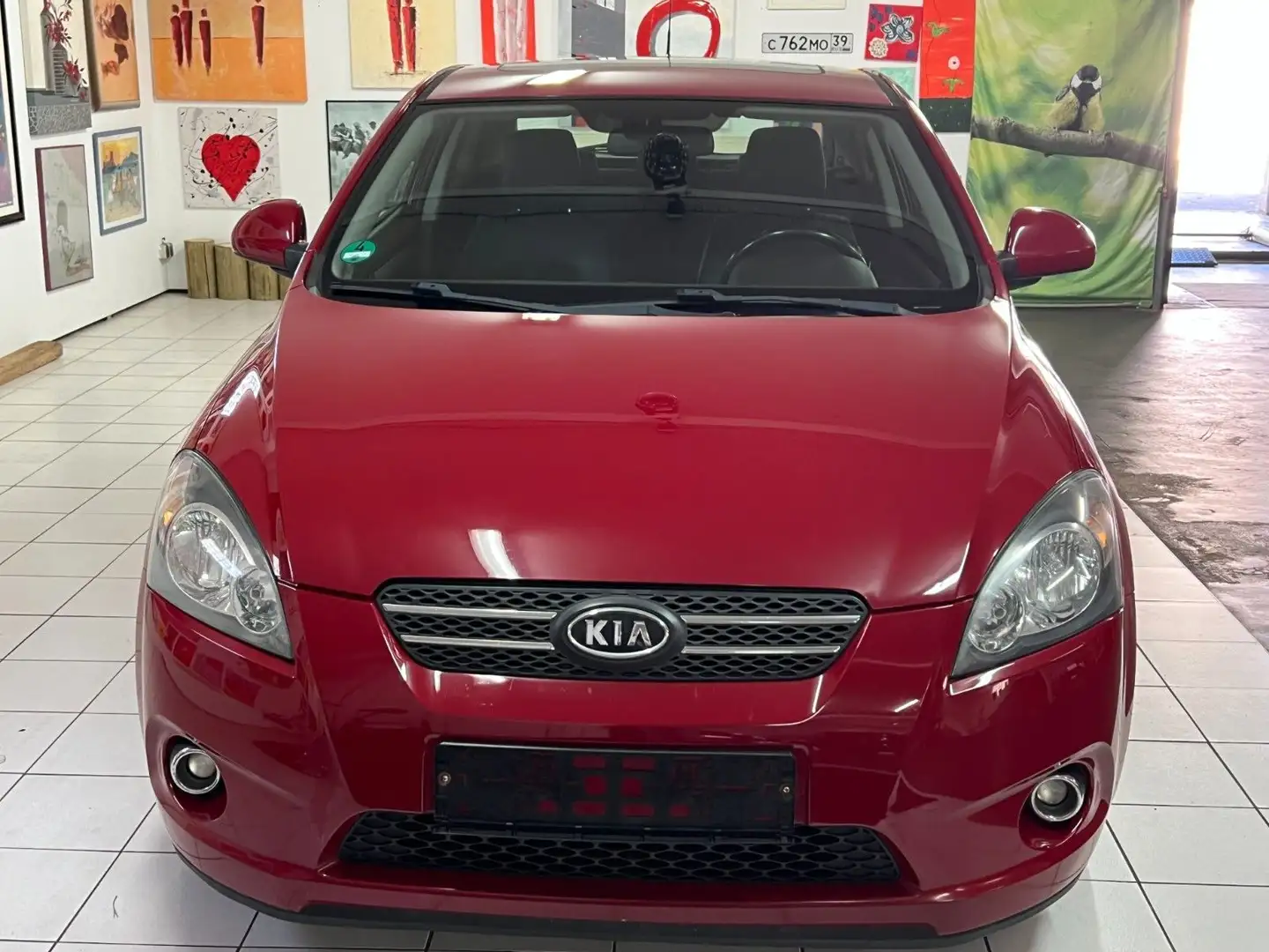 Kia KIA  ProCeed EX TÜV NEU Rouge - 2