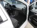 Kia Picanto Vision MJ 25 Sitzheiz. Navi Kamera Blanc - thumbnail 7