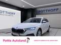 Skoda Octavia Combi 2.0 TDI STYLE NAVI PDC SITZHZG LED Weiß - thumbnail 1