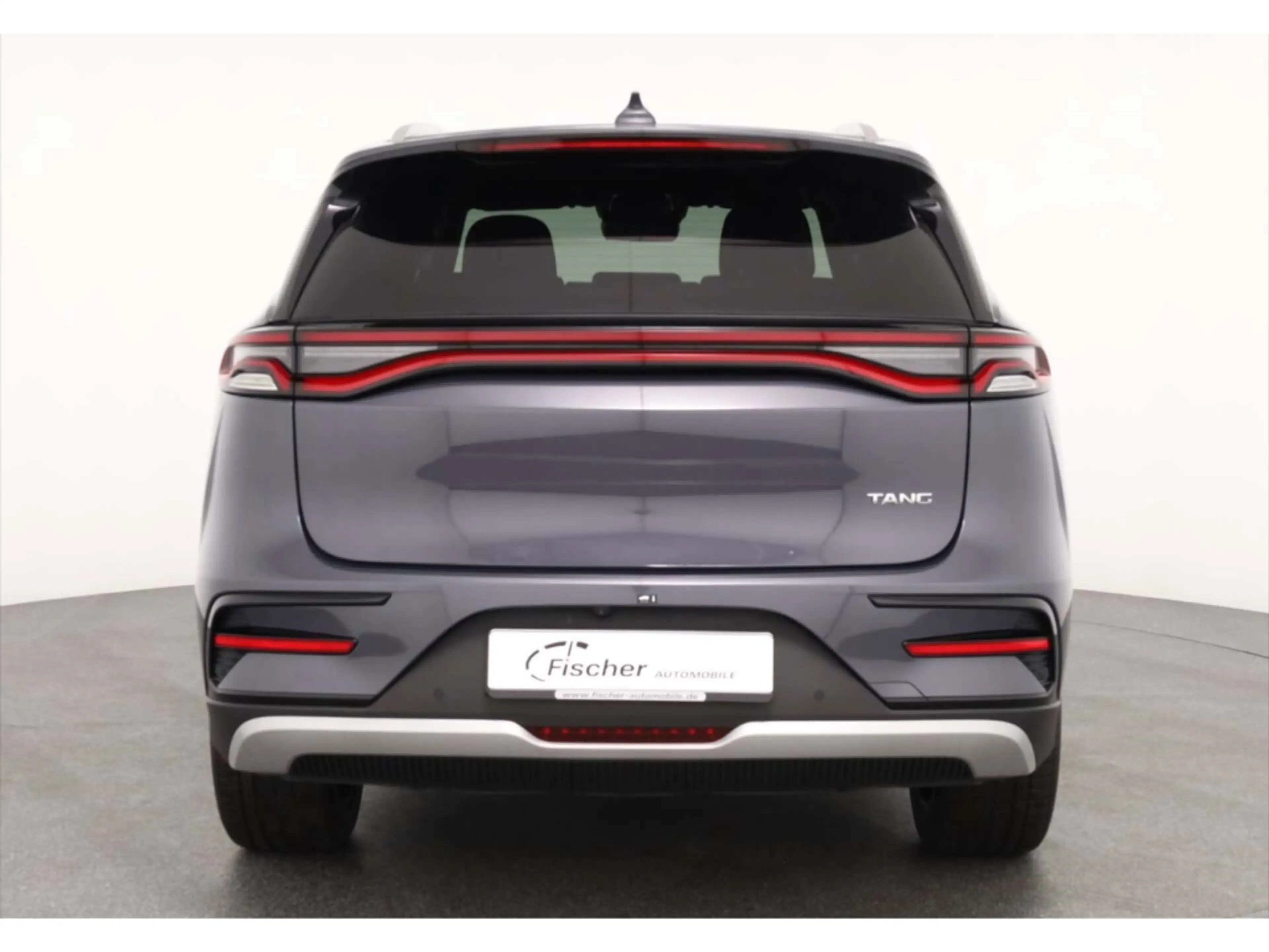 BYD Tang — photo 6