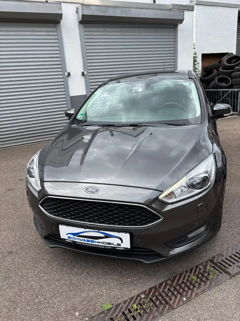 Ford Focus Business Gris - 1