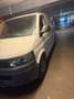 Volkswagen T5 NEUES PICKEL 6.2027 - thumbnail 2