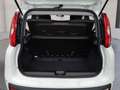 Fiat Panda Pandina Mild Hybrid Weiß - thumbnail 10