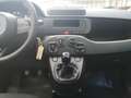 Fiat Panda Pandina Mild Hybrid Weiß - thumbnail 7