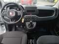 Fiat Panda Pandina Mild Hybrid Weiß - thumbnail 4