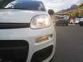 Fiat Panda Pandina Mild Hybrid Weiß - thumbnail 17