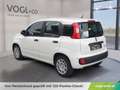 Fiat Panda Pandina Mild Hybrid Weiß - thumbnail 3