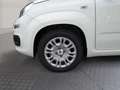 Fiat Panda Pandina Mild Hybrid Weiß - thumbnail 12