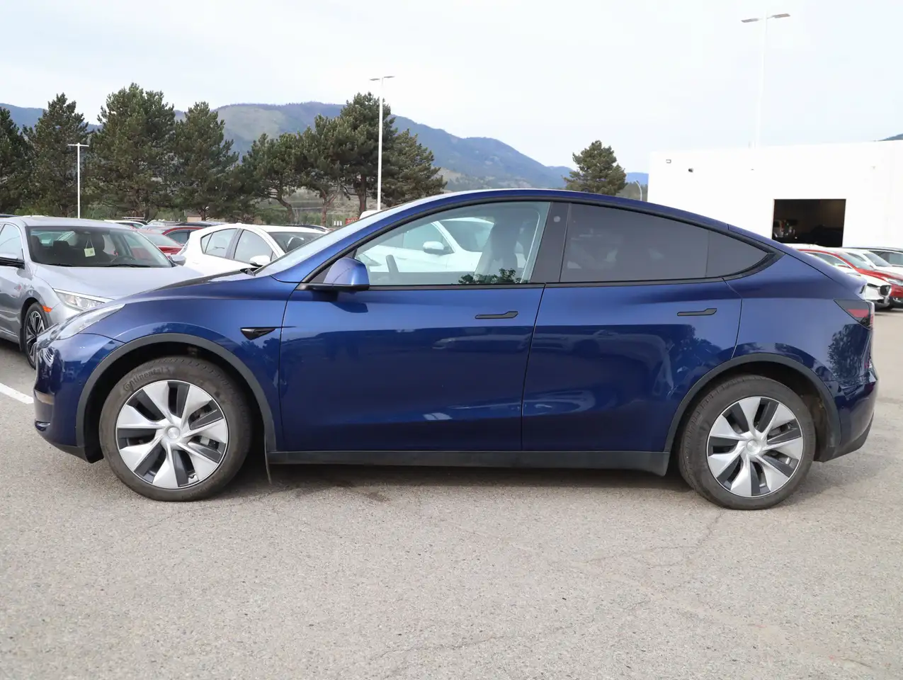 Tesla Model Y fotografie Tesla Model Y