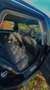 Audi A4 A4 Avant 2,5 TDI V6 Multitronic Schwarz - thumbnail 5