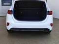 Kia Ceed / cee'd 1.5 T-GDI Klima|SHZ|Car-Play Weiß - thumbnail 24