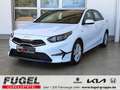 Kia Ceed / cee'd 1.5 T-GDI Klima|SHZ|Car-Play Weiß - thumbnail 1