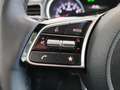 Kia Ceed / cee'd 1.5 T-GDI Klima|SHZ|Car-Play Weiß - thumbnail 11