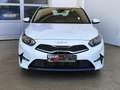 Kia Ceed / cee'd 1.5 T-GDI Klima|SHZ|Car-Play Weiß - thumbnail 27
