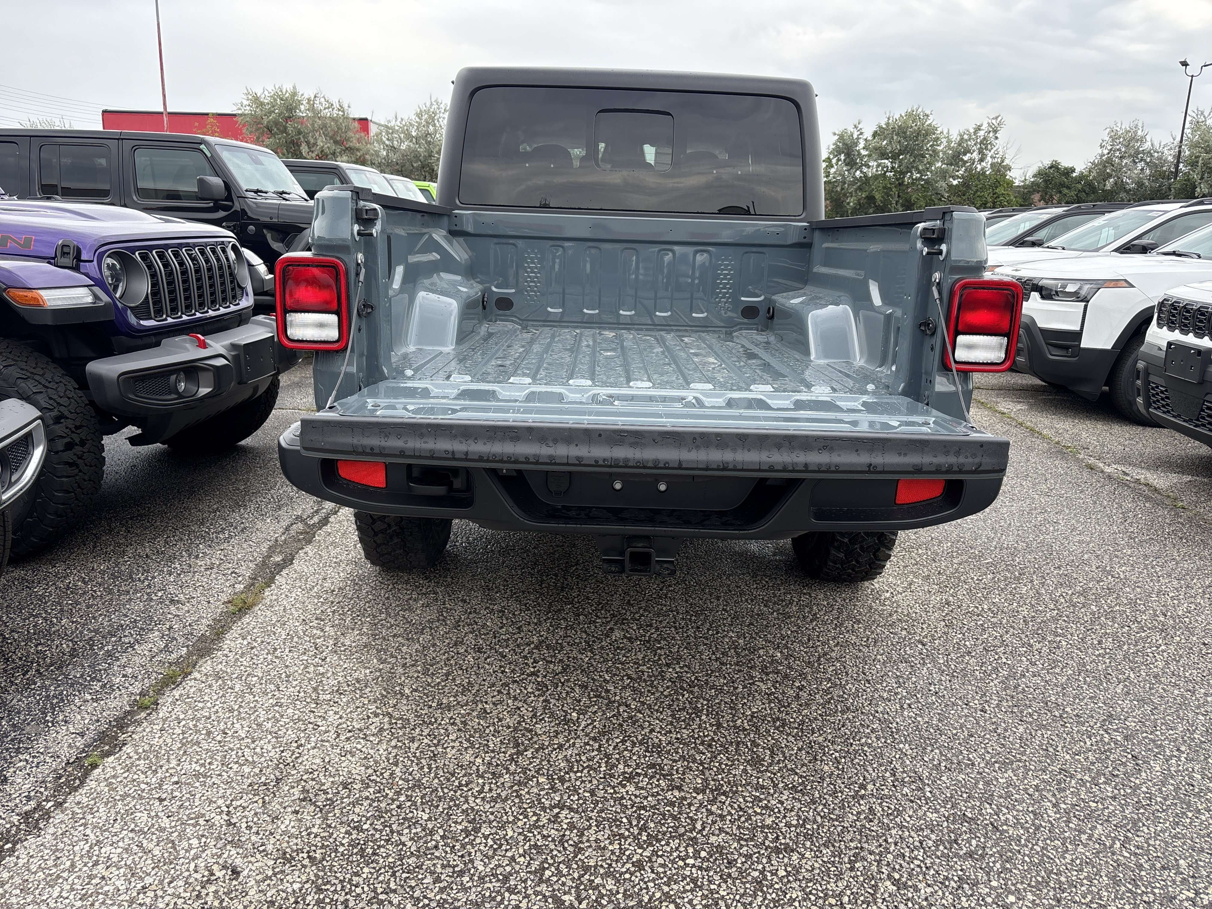 Image 7